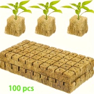 Blocks for Growing Plants Without Soil Including Seedling And Grow Blocks Made from Breathable Felt