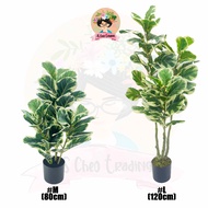 Variegated Fiddle Fig Artificial Plant Premium Quality 🔥Ready Stock🔥Pokok Fiddle Fig Hiasan House Of
