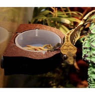 Food Cup For Gecko Camel