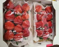 全城熱賣 - 日本福岡士多啤梨 1盒2包