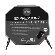 American G & H Plugs High-End Lead EXPRESSIONZ Black Label Bass/Electric Guitar Live Double Straight