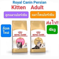 Royal Canin Persian Adult 4kg Kitten 4kg Cats Kittens 4 Kg Bag