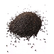 Alfa Cinta Basil Seed Basil Seed/ 35g