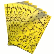 10pcs Perangkap Serangga Melekit Dual-Sided Adhesive for Fruit Flies, Mosquitoes, Fungus Gnats