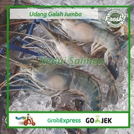 Udang GAlah Segar Gede Jumbo Besar 1 kg isi 6-10 ekor
