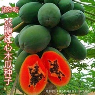 Hot-selling Instant Shipping Rock Candy Red Heart Papaya Seeds Milk Papaya Seeds Fruit Seeds Four Se