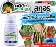 🥬 สกอร์ (ไดฟีโนโคลนาโซล) บรรจุ 250ซีซี ป้องกันกำจัดโรคพืชราสนิมขาว