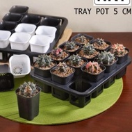 ☆ Tray Pot square 5cm Including pot | 5 cm square pot black pot ➢