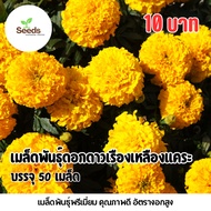 Yellow Marigold Seeds Dwarf Tree 50 Seeds/Pack