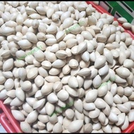 Ginko nut 500 grams ginko biloba/ ginko skin beans