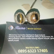 Mustika Batu kelor