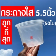 *กระถางใส* กระถางพลาสติกใส (5.5นิ้ว 50ใบ) กระถางต้นไม้ใส กระถางต้นไม้ กระถางพลาสติก กระถางสีใส กระถา