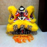 FOSHAN Lion Dance Set Traditional Costume Performance Training