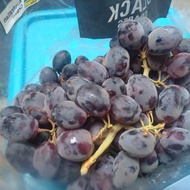 Australian Seedless Black Grapes Impor Manis Murah