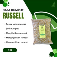 [1KG] Baja Rumput Karpet Russell Baja Rumput Jepun Mutiara PearlGrass Fertilizer Carpet Grass Fertil