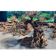Driftwood for aquarium/Bonsai AquascapeCaridinex Handmade - S/M/L