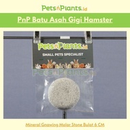 PnP MOLAR STONE - Mineral Gnawing Stone Hamster Rabbit Bite Toy Teeth Sharpening Stone