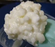 Kefir Grains คีเฟอร์แกรน #kefir grains 8 กรัม เลี้ยงง่าย​ โตไว(ร้านใส่น้ำนมไปเลี้ยงน้องในการเดินทางเพิ่ม)​Note: If customers want an English manual please contact the store.