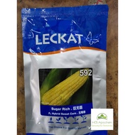 (+-200G) Benih jagung F1 Hybrid Sugar Rich 592