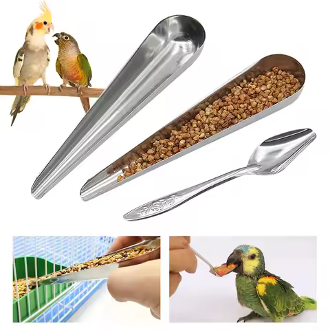 Bird Feeding Spoon Pet Bird Parrot Bird Cage Add Food Spoon Stainless Steel Feede Bird Food Spoon Fe