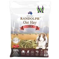 Randolph หญ้าโอ้ต พรีเมี่ยม 500g. ซื้อคู่กับ หญ้ากระต่าย หญ้าทิโมธี หญ้าอัลฟาฟ่า อาหารกระต่าย จะได้ราคาพิเศษ