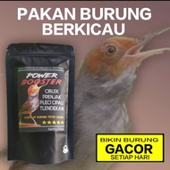power booster pakan PENGGACOR burung berkicau