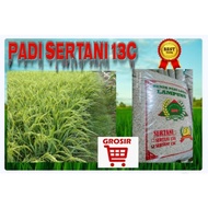 Bibit Benih padi Genjah sertani 13c 5kg