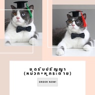 Degree Set (Hat And Rabbit Ears)