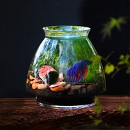 Mini Glass Fish Tank Betta Fish Tank Aquarium Fish Tank Micro Landscape Ecological Bottle Empty Bottle DIY Aquarium Accessories