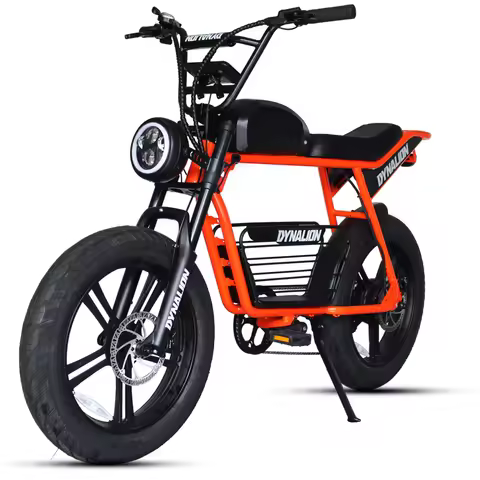 DYNALION US Warehouse Cycling 1000w Fat Tire Bicycle 20 Inch Electric Dirt Bike for Adult