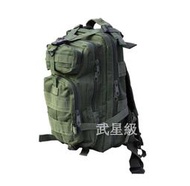 台南 武星級 MOLLE 3P 背包 綠( 槍盒 槍箱 槍袋 槍包 旅遊 登山 烤肉 露營 槍包 生存遊戲 軍事風 迷彩