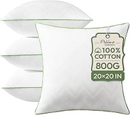 Ashler Home Deco Pillows Insert (Pack of 4, White),20 x 20 Inches, Decorative Pillow Inserts with 10