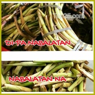 ◄ ❂ ☽ Takway, Taro Shoots(Daludal) long root of taro used as vegetables.
