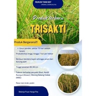 Salle !!! Bibit Benih Padi Trisakti Premium Kemasan 5Kg Original