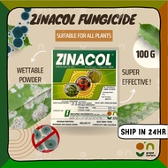 Zinacol Fungicide Racun Kulat 100g Plant Fungicide Insecticide Racun Ulat Daun Racun Serangga 杀菌粉 多菌