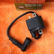 Ignition Coil AX100 for Motorcycle