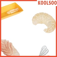 [Koolsoo] Life Cycle of Bee Toys Puzzle Animal Life Growth Cycle Figure Role Play
