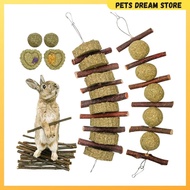 Rabbit hanging Timothy cake bunny molar Small animals hanging molar timothy biscuit apple stick mola