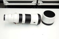 Sony FE 400-800mm F/6.3-8 G 追星 演唱會 運動會 非洲拍攝 必備長鏡