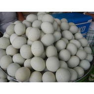 ✷✟1 TRAY BALUT, FRESH BALUT BULACAN, DUCK EGG