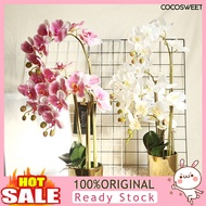 [LISI]  1Pc Faux Orchid Plant Natural Realistic Household Products Orchid Artificial Plants  Decoration for Stores