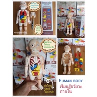 Human Body Model Learning