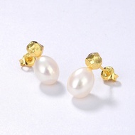 European American Female Pearl Niche Freshwater Sterling Silver Gold-Plated Hot-selling Natural Earr