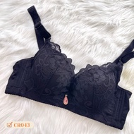 34/75B LACE BRA IN