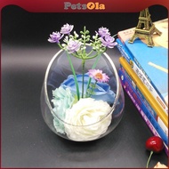 PETSOLA Slant Cut Bowl Glass Vase Candy Dish Fruit Jar Glass Terrarium Bowl for Tabletop