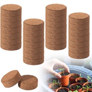 EI6P6LNDY. Indoor Plants Potting Soil Environment Friendly Coco Coir Fiber Starter Soil Accessories Garden Supplies Coconut Soil