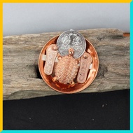 Divine India - Vastu Tortoise with Gansesha/Lakshmi Coin & Padam Plate