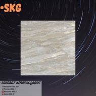 Granit Indogress 60x60 Artic Grey