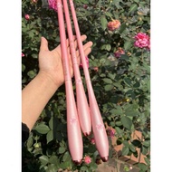 Cherry Blossom Hand Fishing Rod 4H 28i Extremely Sensitive Ultra Light Fish Feeling Free Extra Tip Z