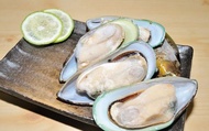 【廣島特級大牡蠣(250g) 】只要新鮮，簡單料理即是美味